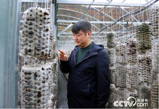 赤子张国栋的回乡礼物:从57元的腊肉到带领10