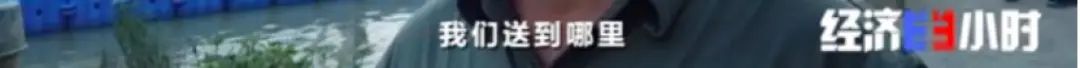 三农|一片汪洋！断电断路！不到2天，他们紧急建起364米浮桥！