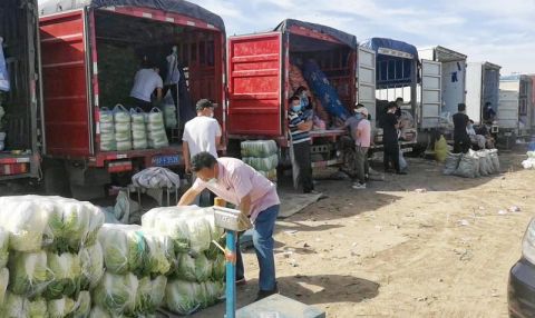蔬菜新发地临时交易场地新增150亩 六大批发市场蔬菜上市量迅速上升