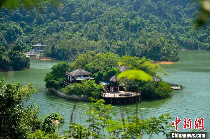 #保亭#海南保亭为旅游业疫后复苏发优惠卡邀客免门票玩景区