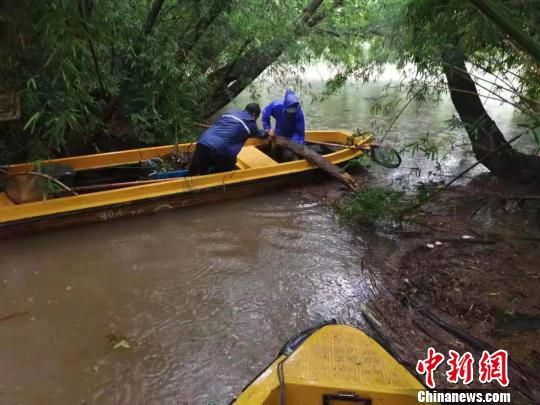 工作人员正在进行湖面清捞工作。 杭州市西湖水域管理处供图 摄 工作人员正在进行湖面清捞工作。 杭州市西湖水域管理处供图 摄