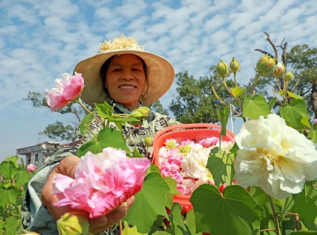 五大发展理念|这五年，五大发展理念这样改变我们的生活