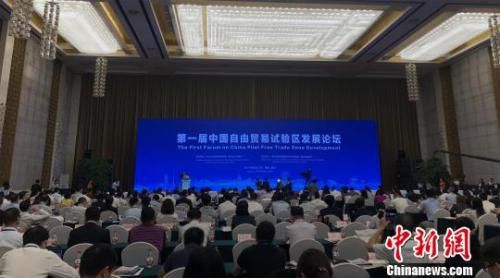 第一届中国自由贸易试验区发展论坛在武汉举行 梁婷 摄