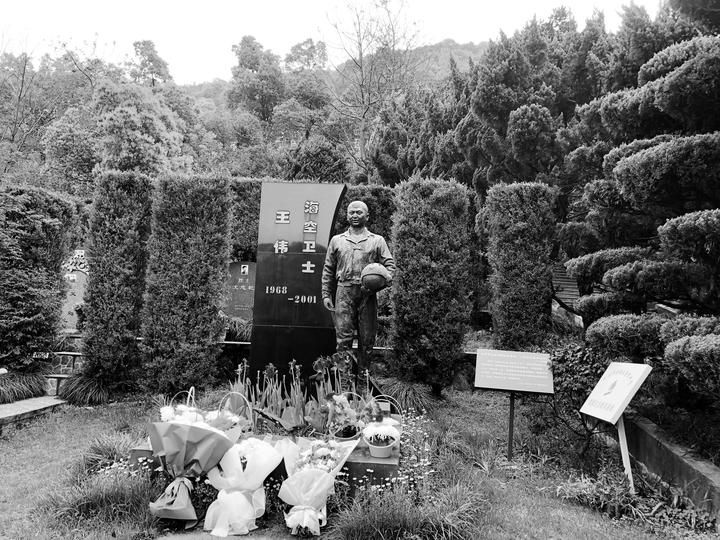 #烈士墓#英雄王伟墓前19年来鲜花不断 今年有人送来歼20模型