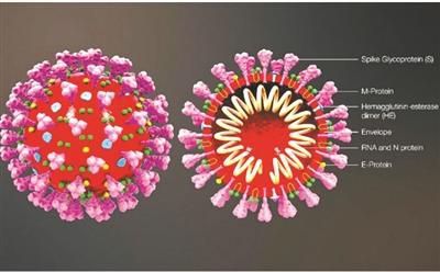 『传染病』“无症状感染者”不可忽视，也无需恐慌