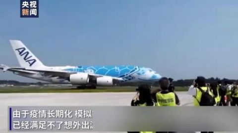 航空|花样百出！日本航空公司打造本地“盘旋90分钟”旅游项目