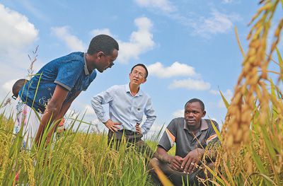 疫情共同行动，向全球减贫目标迈进