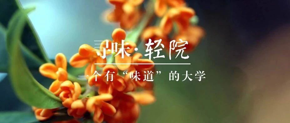 大学|报考轻工大的十个理由，你Get了吗？