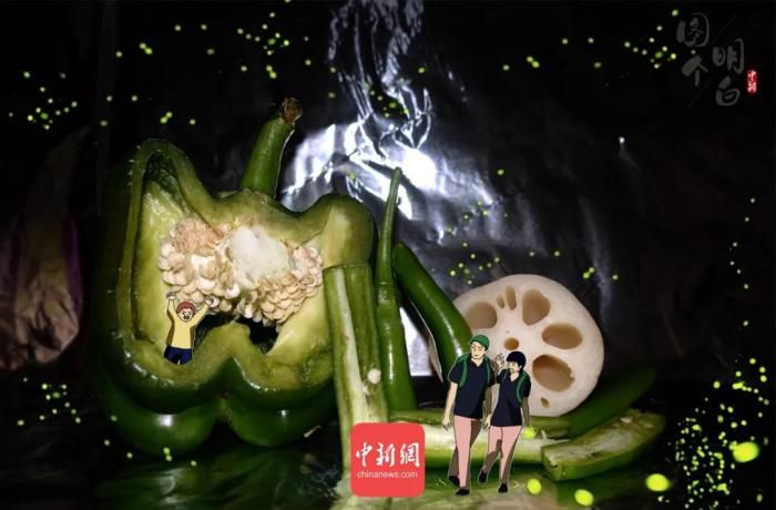 摄影|大暑到，看完这组脑洞大开的创意摄影竟不觉得热了