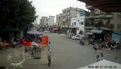 狗|12岁女童牵狗被挣脱 狗绳绊倒88岁老人致其死亡 当地通报：系意外事件