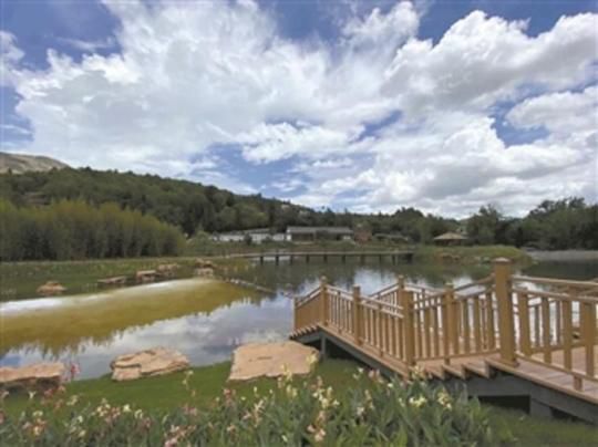 艺术家|老房子里住进了艺术家 一股文创风让村民增收了！