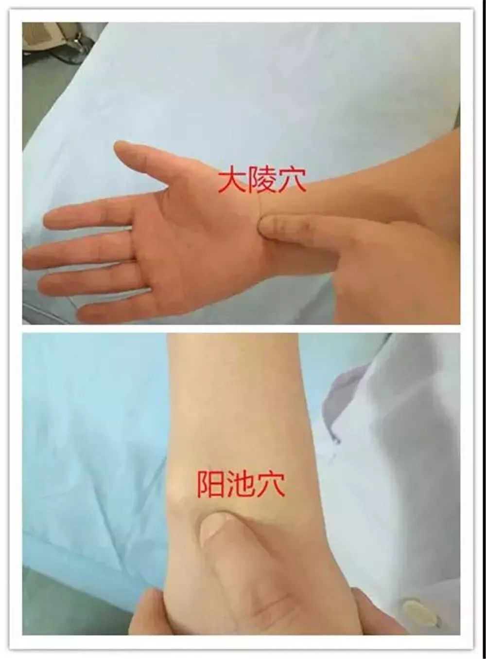 将健肢拇指指腹放在患腕大陵穴,中指指腹放在阳池穴,适当对合用力按压