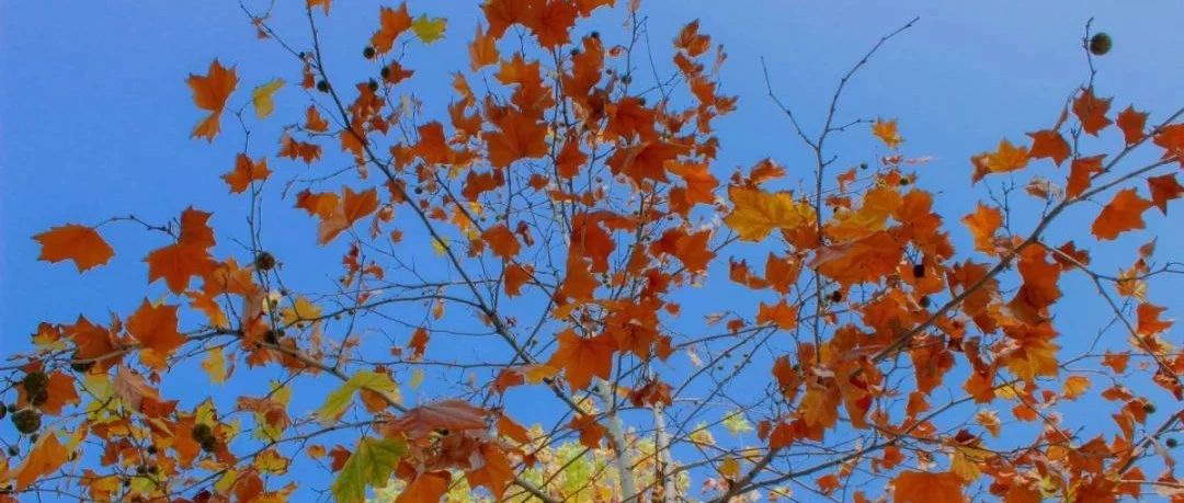 大学|报考轻工大的十个理由，你Get了吗？