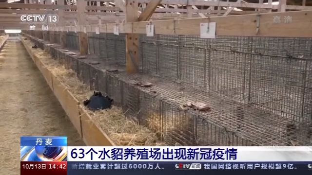 |丹麦63个水貂养殖场出现新冠疫情