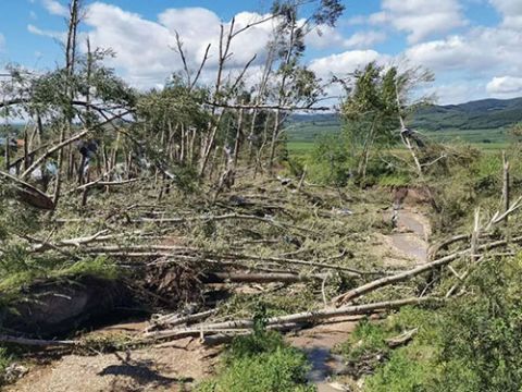 庄稼|黑龙江密山一地遭龙卷风袭击！68户民房受损，1590亩庄稼受灾