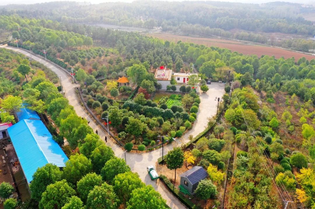 春水镇版图现美丽图画还有唱大戏场面