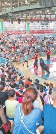 天池|免票首日武汉景区人气高 黄鹤楼木兰天池客流量跳涨3倍