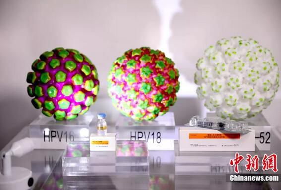 ҴȾԼ繤̼о(Ŵѧ)չʾHPVģͺ͹HPV(ٴ)<a target='_blank' href='http://www.chinanews.com/'></a>  
