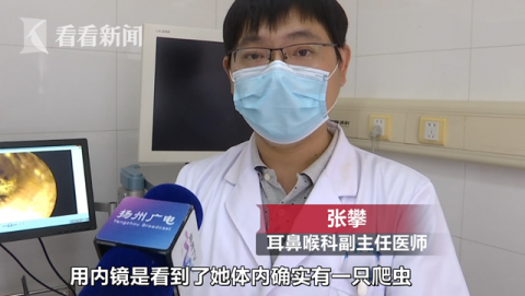 蜱虫|三岁女童感觉有耳朵内异物，竟是蜱虫在里面产卵