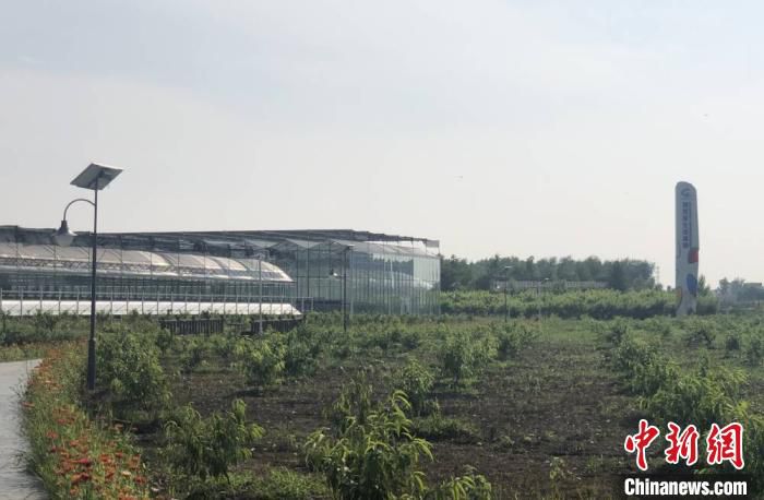 灌云探访江苏灌云潮河村：沂水河畔一湾碧 水美乡村入画来