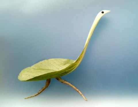 蔬菜|丝瓜熊猫、菜叶鸵鸟……河南这位买菜大爷用蔬菜创造了“动物世界”