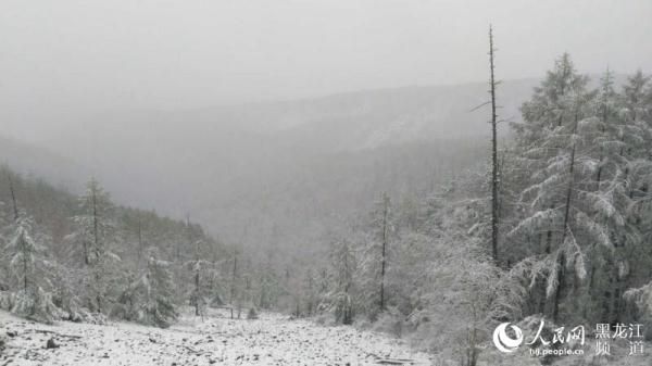 大興安嶺“愛情小鎮”新林區迎來降雪天氣