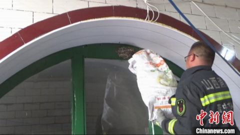 蝙蝠蛇和蝙蝠闯入民宅山西消防员变身“捕蛇者”和“驱蝠侠”