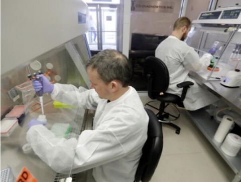 |美国单日新增确诊病例逾4万例 累计超519万例