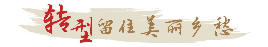 |一枝一叶总关情丨马庄的小康生活