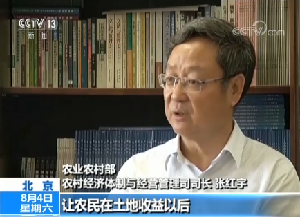 中国农民_2018中国农民纯收入