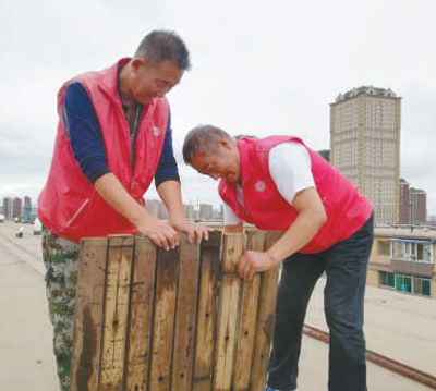 |党建引领治理 社区焕发生机（深度关注·党建引领基层治理②）