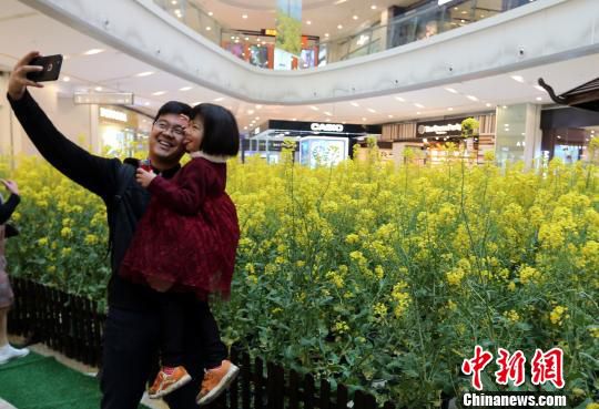 图为一对父女站在商场内的油菜花前拍照留影。　魏东升 摄