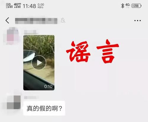 图片来源：