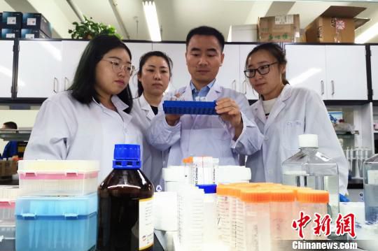黄志伟教授(右二)在实验室中工作 王琳 摄