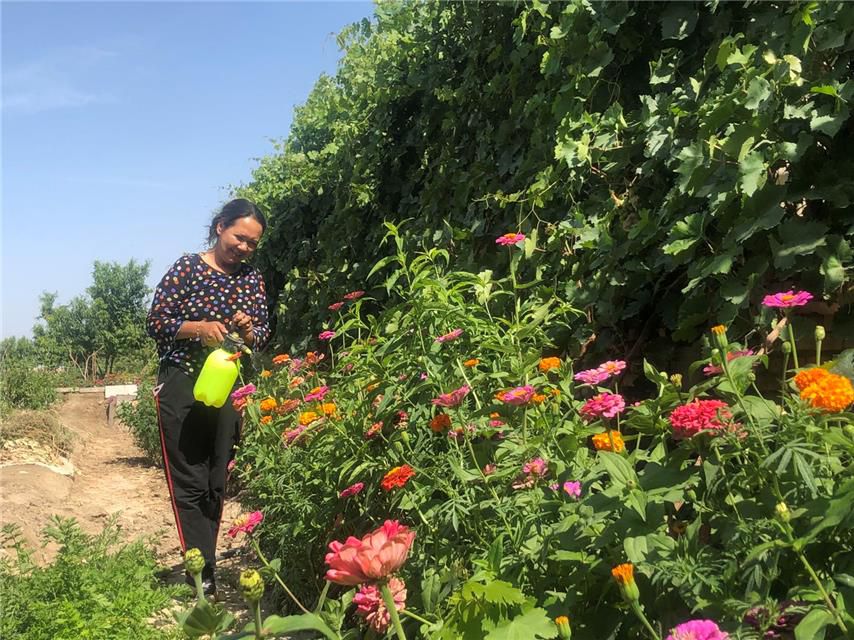 胡杨林|新疆轮台县生态搬迁：塔河沿岸绿了 新居村民富了