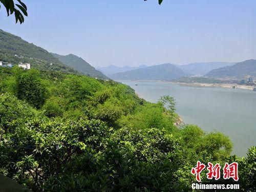 覆盖长江两岸的绿色生态屏障。<a target='_blank' href='http://www.chinanews.com/' >中新网</a> 于晓 摄