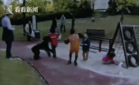 |花园散步巨型贵宾扑了过来...邻居之间大打出手