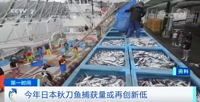 秋刀鱼|12艘捕捞船一无所获，这里“天灾级别的鱼荒”再上演？！价格一度翻涨四五倍，今年还要贵下去？