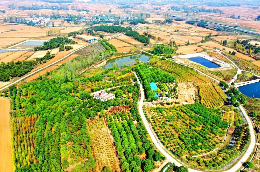 春水镇版图现美丽图画还有唱大戏场面