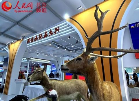 文化|服贸会大兴区三大文化项目签约落地 签约金额超40亿元