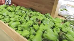 疫情|新疆本轮疫情密切接触者多已发病，官方作出重要判断