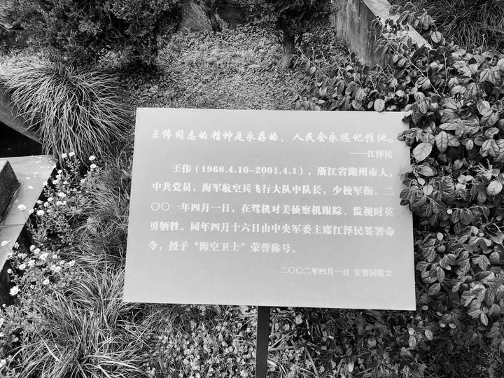 #烈士墓#英雄王伟墓前19年来鲜花不断 今年有人送来歼20模型