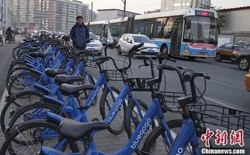 资料图：北京街头的小蓝单车。<a target='_blank'  data-cke-saved-href='http://www.chinanews.com/' href='http://www.chinanews.com/'>中新社</a>记者 贾天勇 摄