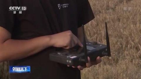 小麦农业农村部：我国麦收进度近六成 品质好于常年