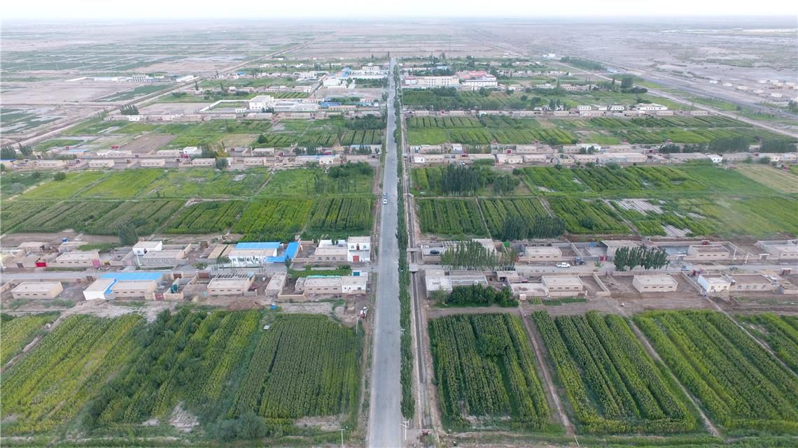 胡杨林|新疆轮台县生态搬迁：塔河沿岸绿了 新居村民富了