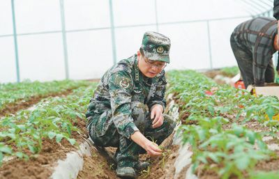 三农|点亮的，不止是村庄的夜（新时代·面孔）