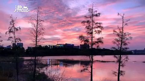 |绝美！深圳粉蓝色晚霞刷屏市民朋友圈