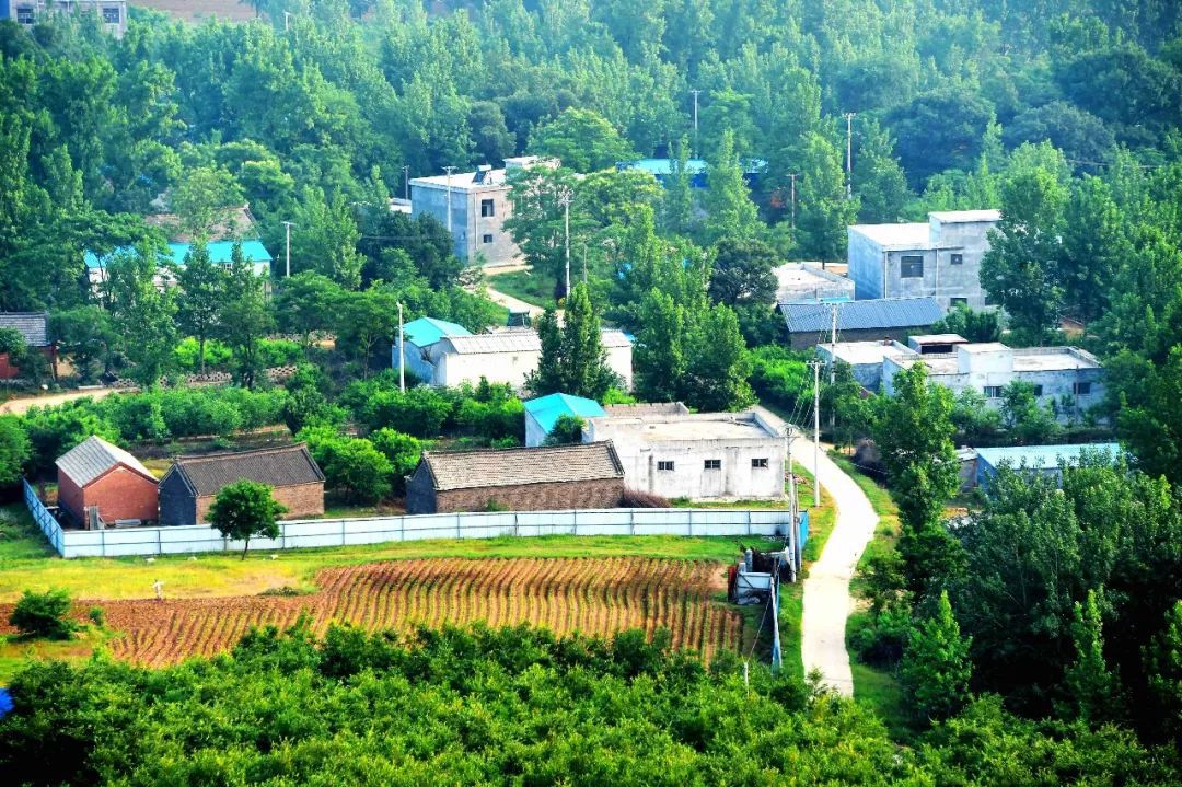 泌阳人赶紧回乡下盖房子去吧再不知道就亏大了