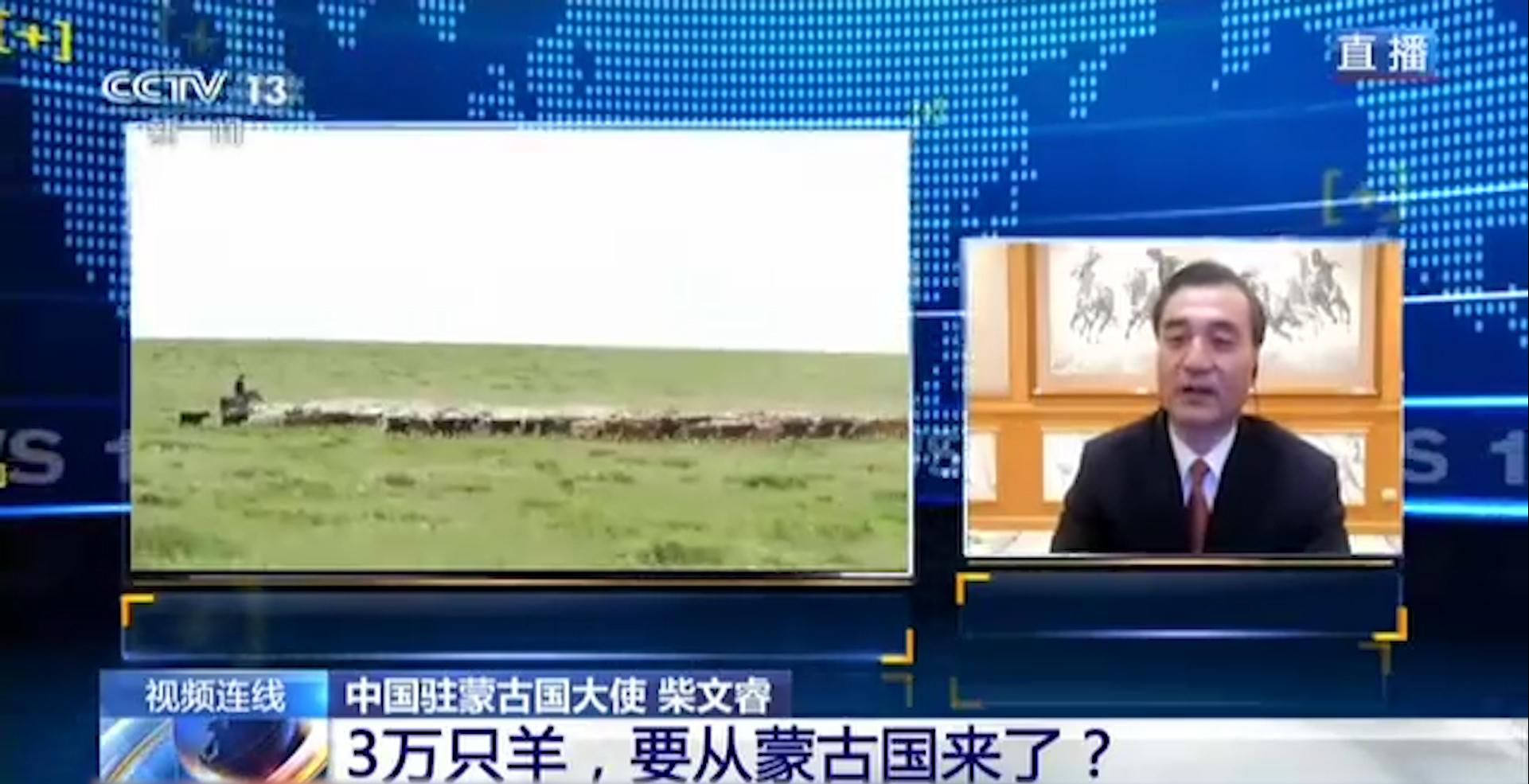 中国武汉|3万只羊即将进京赶“烤” 蒙古国：希望送给武汉人民