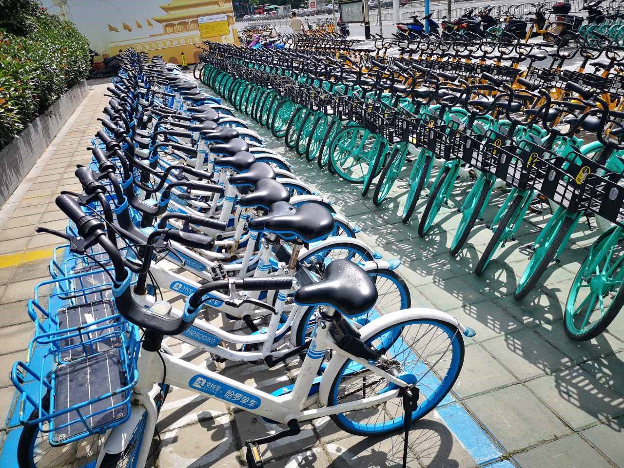 停好共享单车市民文明公德成就郑州脸面
